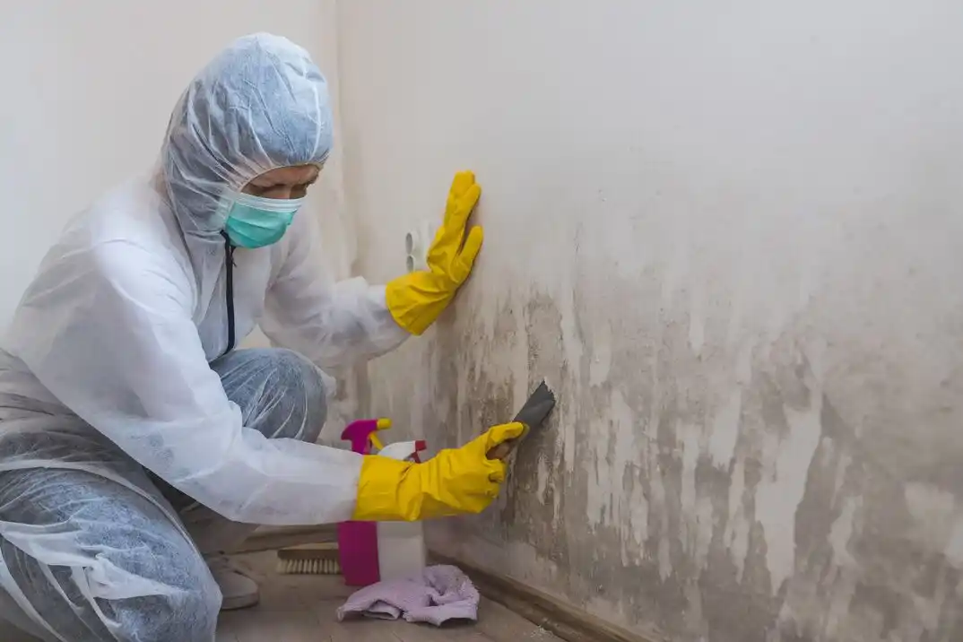 water damage restoration service Forest Lakes